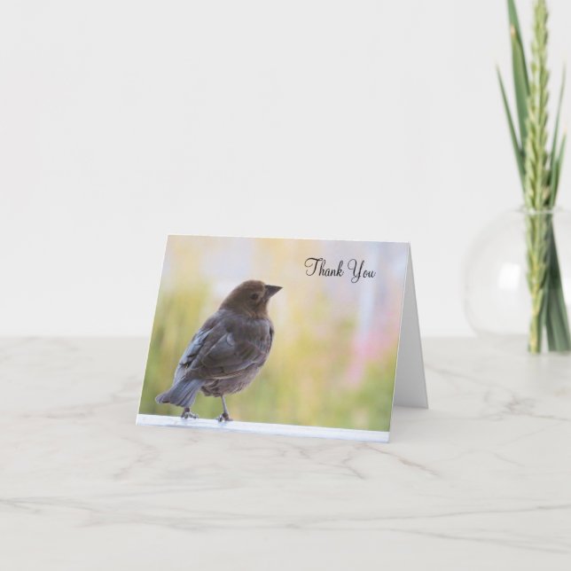 Beautiful Bird - Blank Thank You Card (Front)