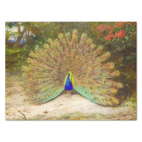 Beautiful Bird Colorful Peacock Vintage Painting Tissue Paper