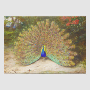 Beautiful Bird Colorful Peacock Vintage Painting Tissue Paper