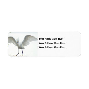 Beautiful bird label