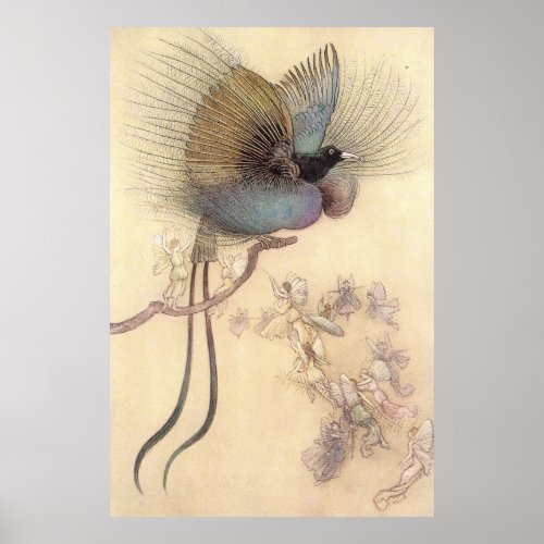 Beautiful Bird of Paradise by Warwick Goble Poster