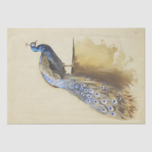 Beautiful Bird Peacock Vintage Watercolor Tissue Paper
