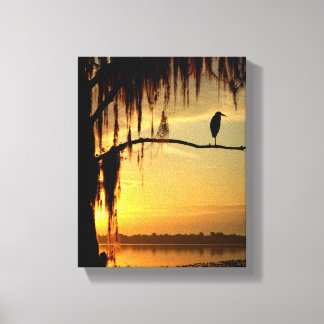 Beautiful Bird Perched on Shadowed Tree Canvas Print