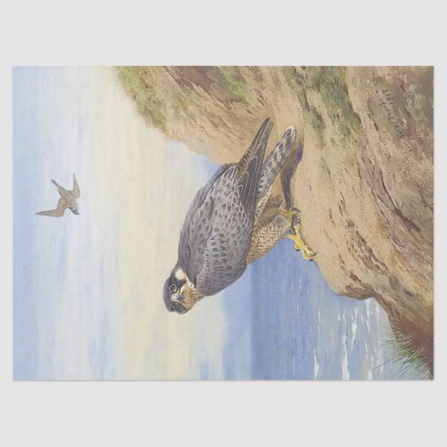 Beautiful Bird Peregrine Falcon Decoupage Tissue Paper (Front)