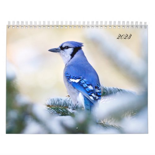 Beautiful Bird Photography Wall Calendar Song Bird