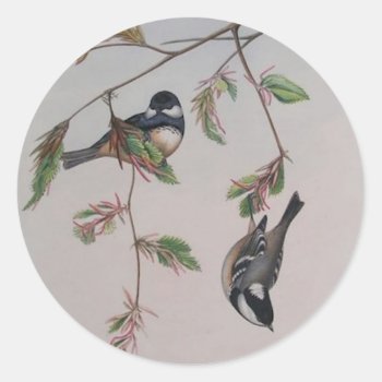 Beautiful Bird Stickers by Vintage_Obsession at Zazzle