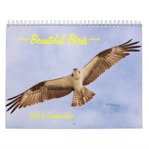 Beautiful Birds 2016 Calendar