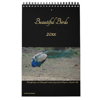 Beautiful Birds Nature Photography Birders 2026 Calendar