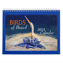 Beautiful "BIRDS of Brazil" 2021 Calendar