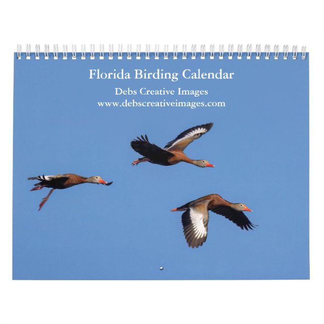 Beautiful Birds of Florida 2026 Calendar (Cover)