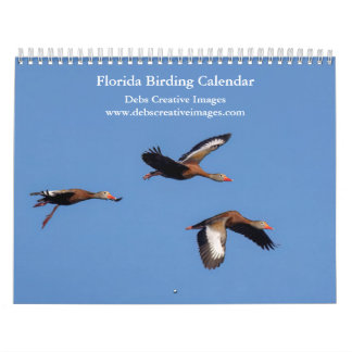 Beautiful Birds of Florida 2026 Calendar