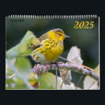 Beautiful Birds Photography 2025 Calendar Bluebird<br><div class="desc">I love taking pictures of all the birds in East Tennessee and wherever I travel! I hope you enjoy them as much as I did!</div>