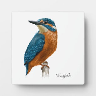 Beautiful Birds Plaque