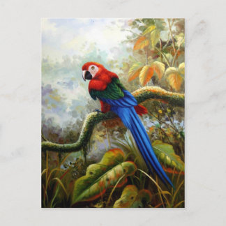 beautiful birds postcards 06