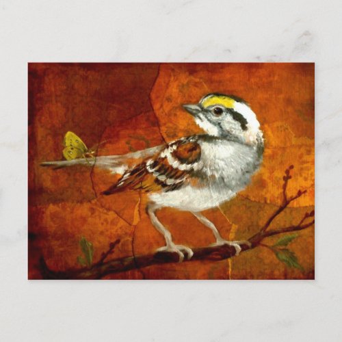 beautiful birds postcards 13