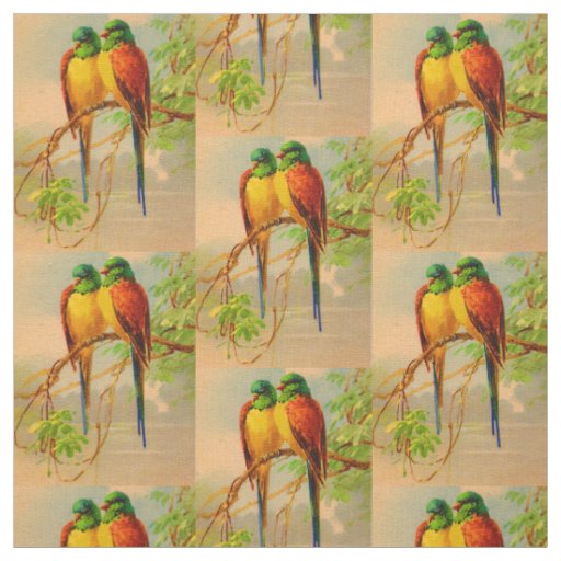 beautiful birds print fabric