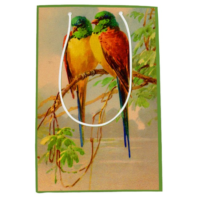 beautiful birds print medium gift bag (Front)