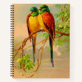 beautiful birds print notebook