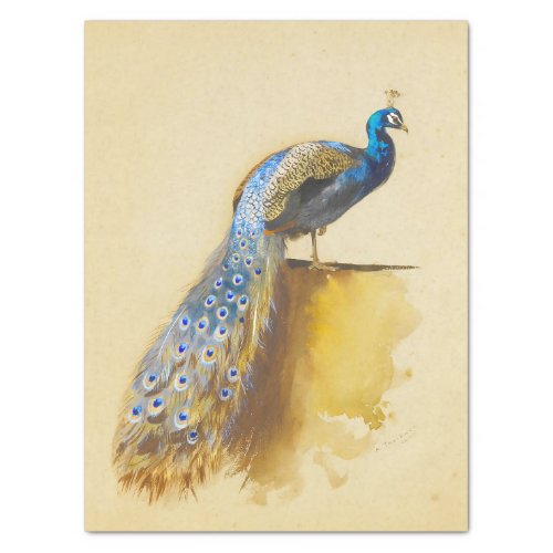 Beautiful birds Royal Peacock Vintage Decoupage Tissue Paper