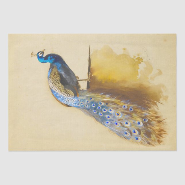 Beautiful birds Royal Peacock Vintage Decoupage Tissue Paper (Front)