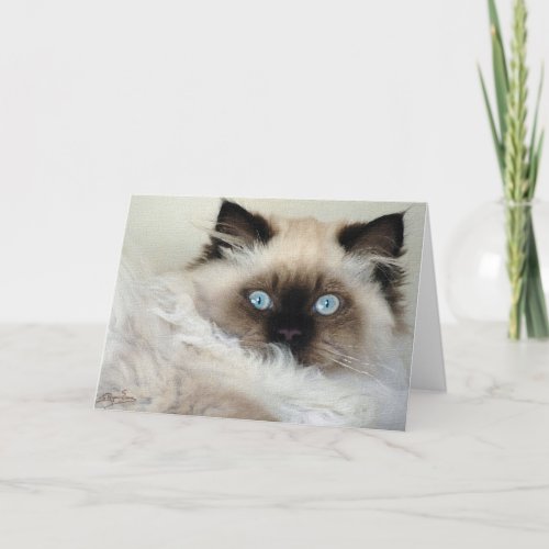 Beautiful Birman Ragdoll Cat_lovers Note Card