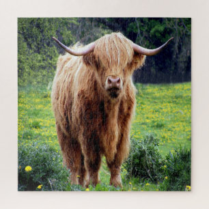Beautiful Bison Jigsaw Puzzle