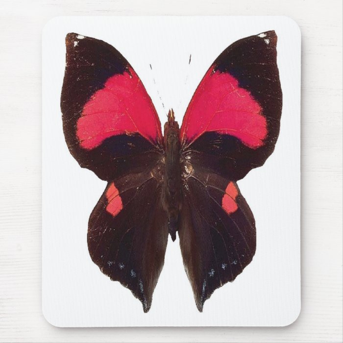 Beautiful black and red butterfly, mousepad