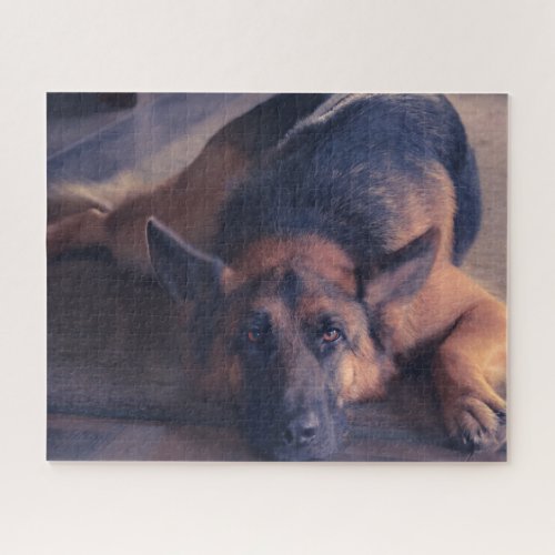 Beautiful  Black and Tan German Shepherd Jigsaw Puzzle