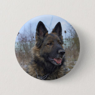 beautiful black and tan German Shepherd puppy Pinback Button