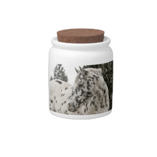 Beautiful Black and White Appaloosa Horse Candy Jar