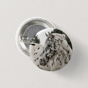 Beautiful Black and White Appaloosa Horse Pinback Button