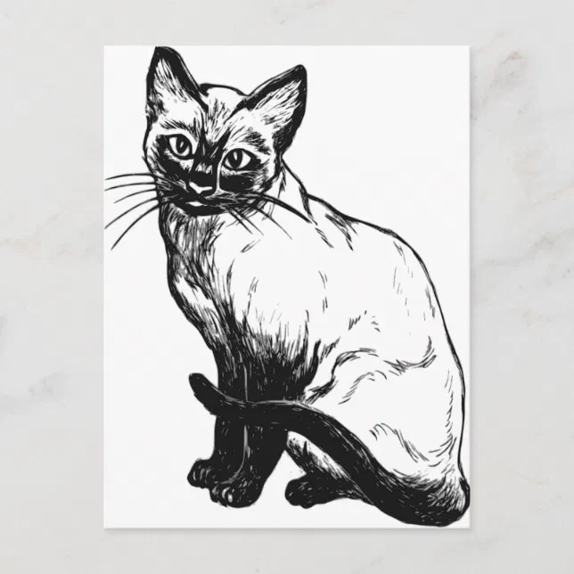 Beautiful black and white artwork - Siamese cat Postcard | Zazzle