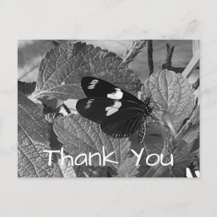 Beautiful Black and White Butterfly Thank you Postcard