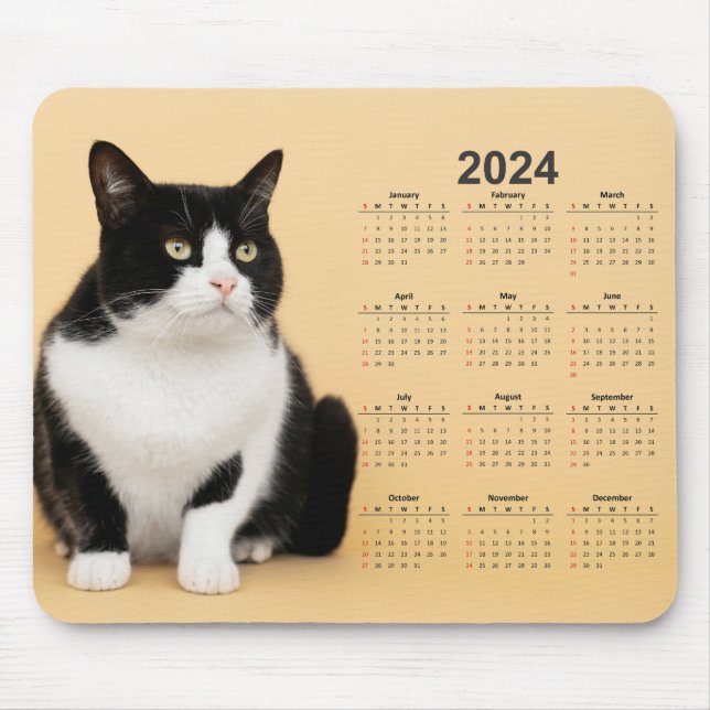 Beautiful Black and White Cat 2024 Calendar Mouse Pad (Front)