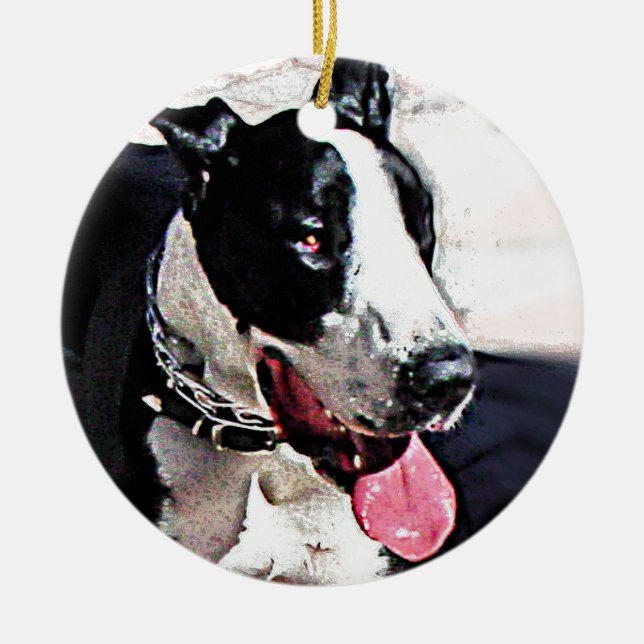 Beautiful Black and White Dog Ceramic Ornament (Front)