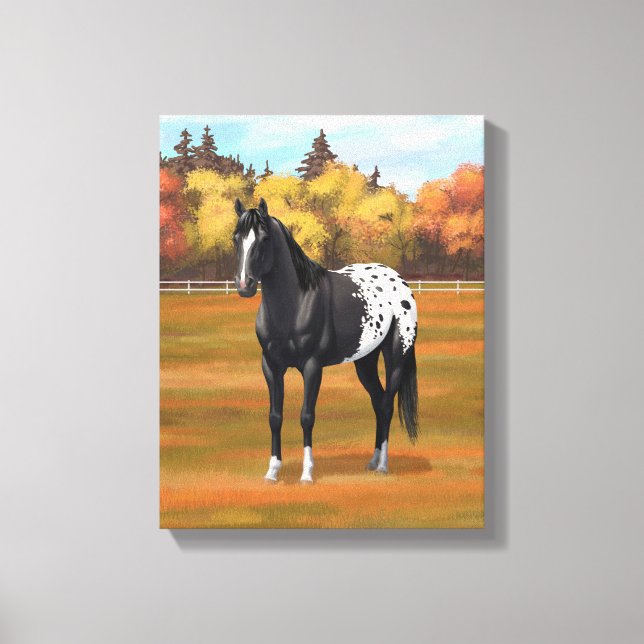 Beautiful Black Appaloosa Quarter Horse Stallion Canvas Print (Front)