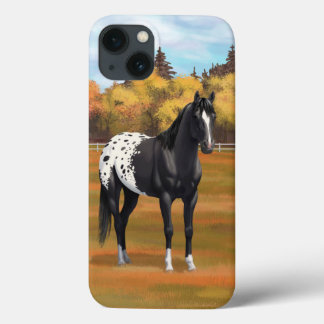Beautiful Black Appaloosa Quarter Horse Stallion iPhone 13 Case