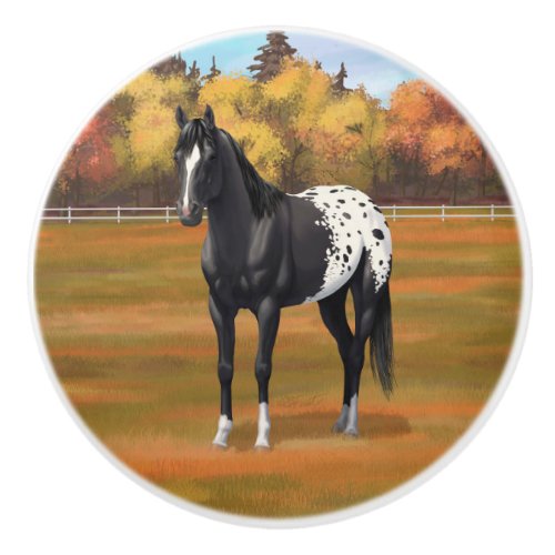 Beautiful Black Appaloosa Quarter Horse Stallion Ceramic Knob