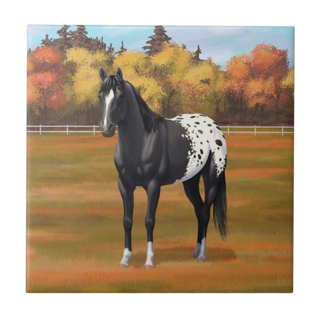 Beautiful Black Appaloosa Quarter Horse Stallion Ceramic Tile (Front)