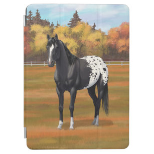 Beautiful Black Appaloosa Quarter Horse Stallion iPad Air Cover