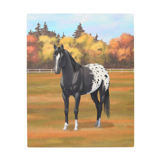 Beautiful Black Appaloosa Quarter Horse Stallion Metal Print (Front)