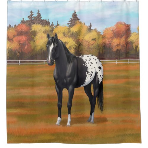 Beautiful Black Appaloosa Quarter Horse Stallion Shower Curtain