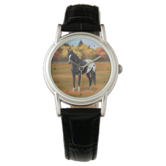 Beautiful Black Appaloosa Quarter Horse Stallion Watch