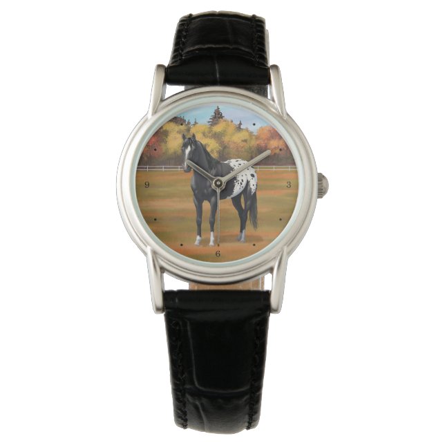 Beautiful Black Appaloosa Quarter Horse Stallion Watch (Front)