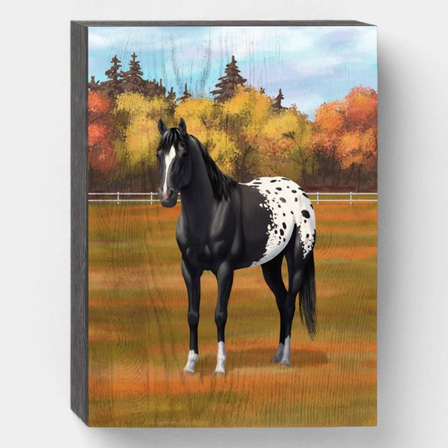 Beautiful Black Appaloosa Quarter Horse Stallion Wooden Box Sign (Front Vertical)