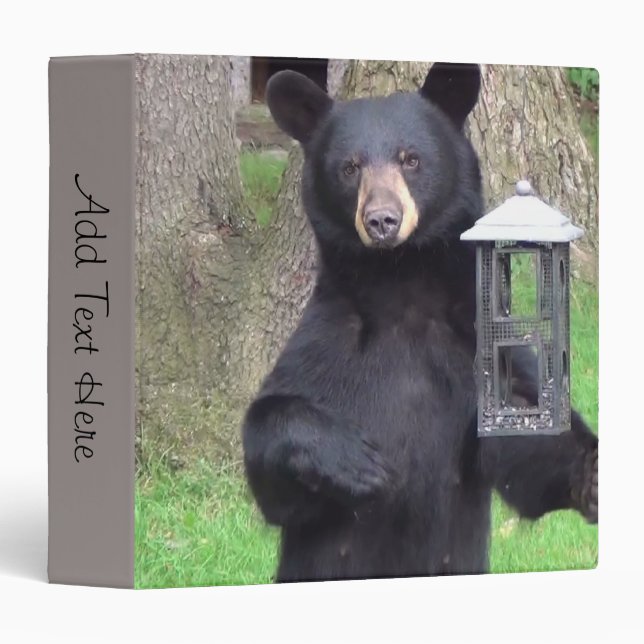 Beautiful Black Bear 3 Ring Binder (Front/Spine)