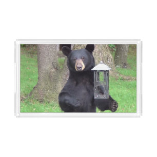 Beautiful Black Bear Acrylic Tray