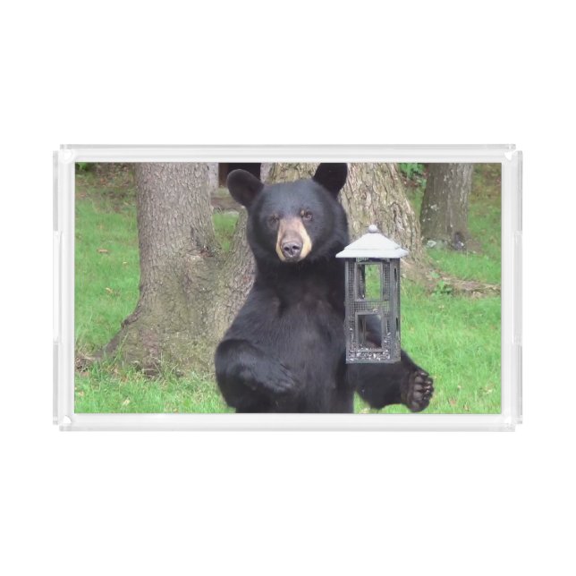 Beautiful Black Bear Acrylic Tray (Front)