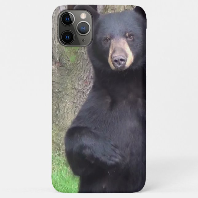 Beautiful Black Bear Case-Mate iPhone Case (Back)