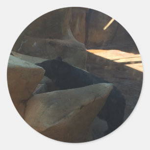 Beautiful Black Bear Climbing Classic Round Sticker
